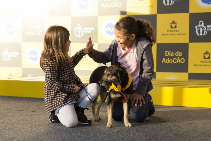 PEDIGREE® realiza quarta edição do Dia da AdoCÃO no Mooca Plaza